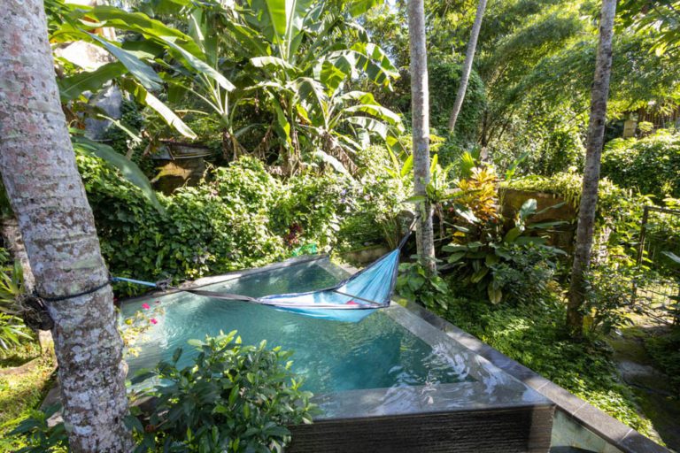 The treehouse ubud villa rental private pool