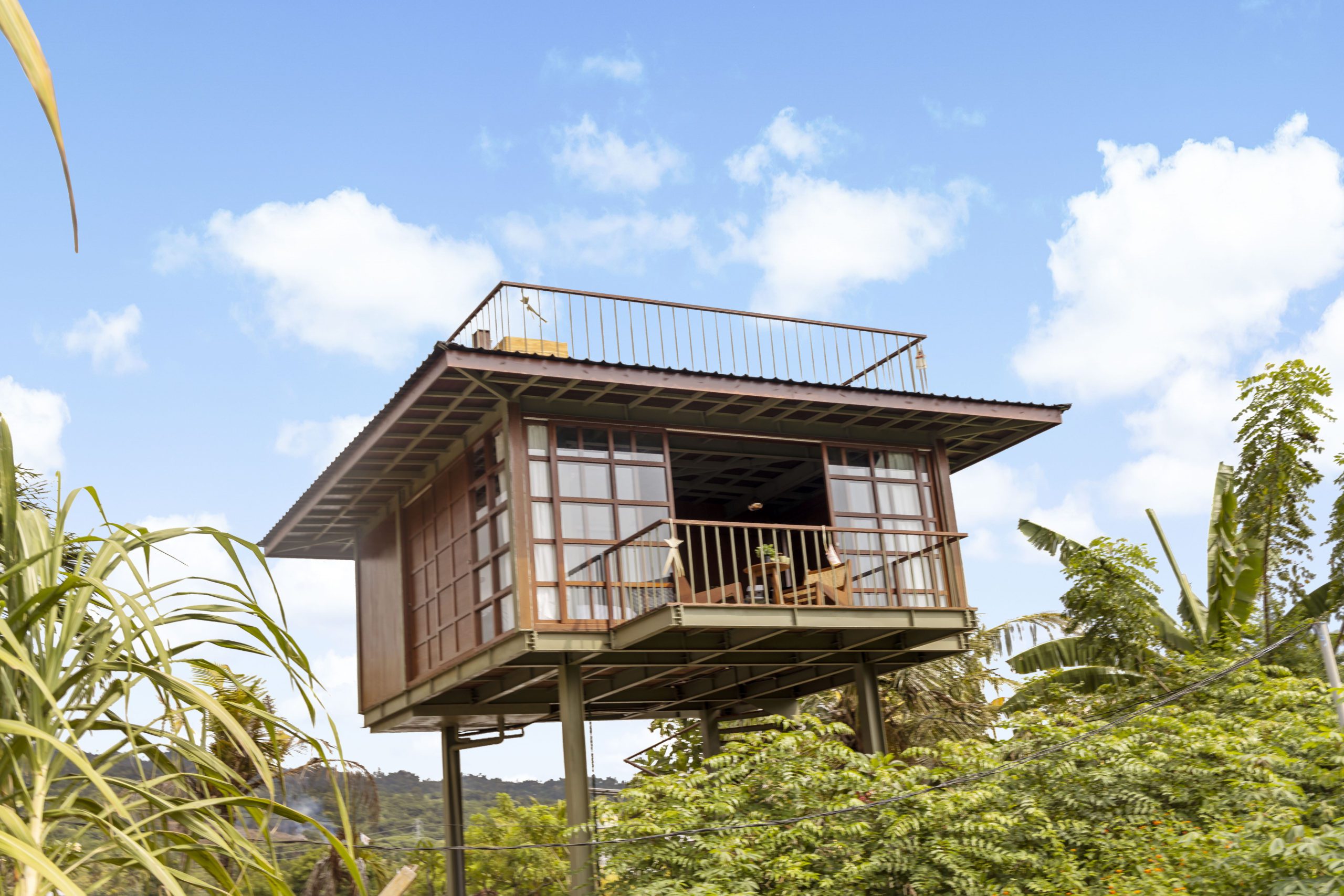 the nest lovina treehouse rental