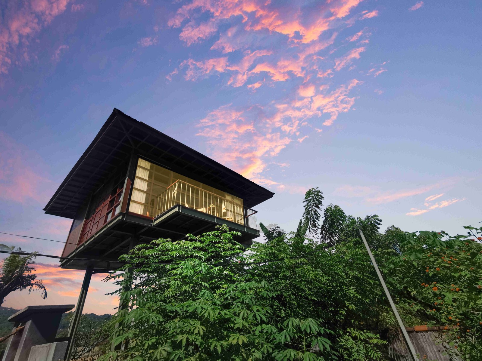 The Nest treehouse above the trees at Lovina
