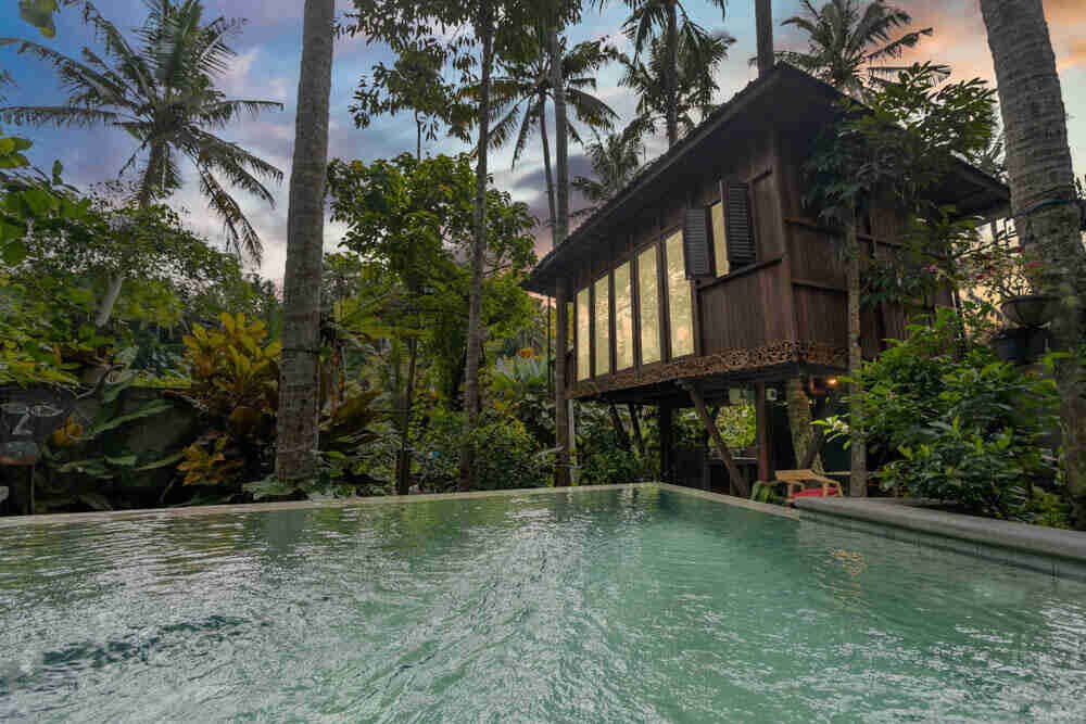 The Ubud Treehouse above its plunge pool
